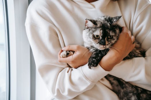 cat cuddling with its owner