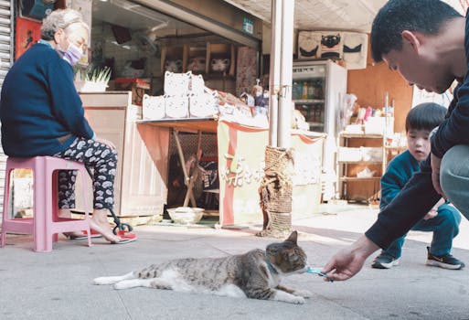 elderly woman with a cat