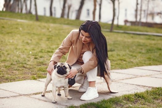 dog and owner enjoying a walk