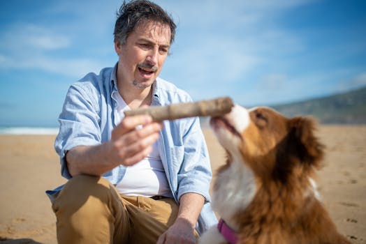 happy dog playing fetch