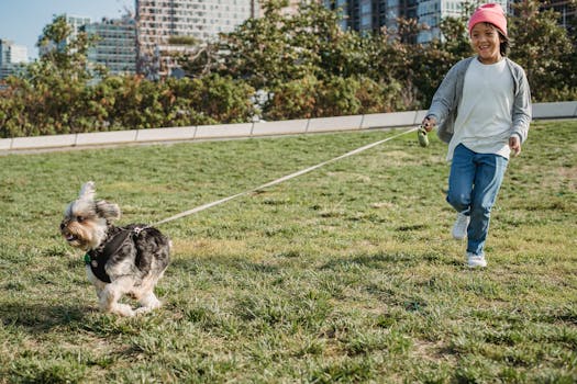 happy dog playing with a child