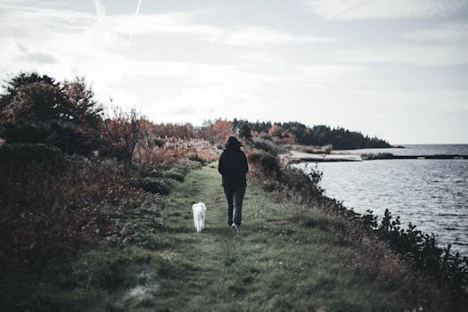 happy person walking their dog