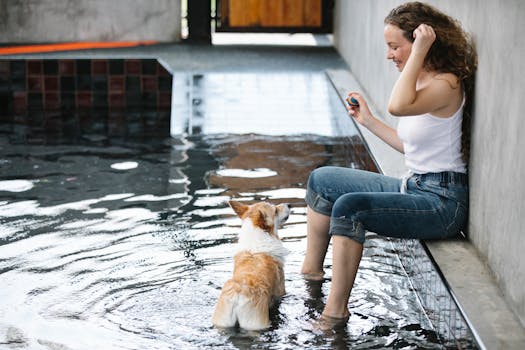 happy aging pet enjoying interactive play