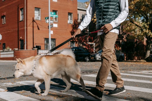 person enjoying a walk with their dog