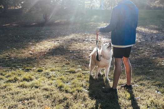 owner enjoying time with their pet