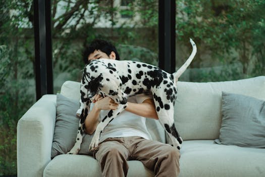 happy dog playing with owner