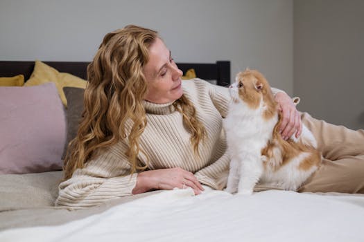 person petting a cat