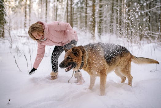 happy dog playing with volunteers