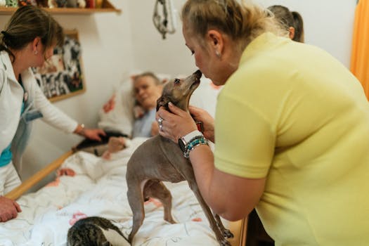 person in therapy with dog