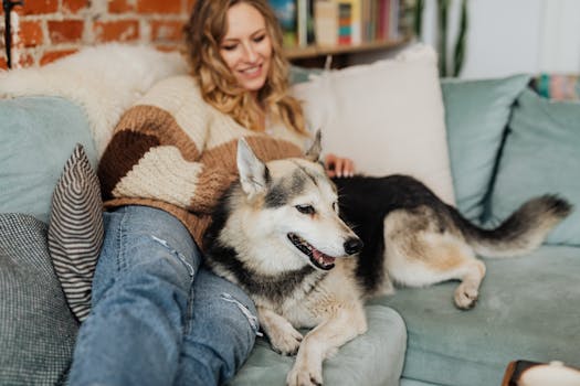 happy dog with shelter volunteer