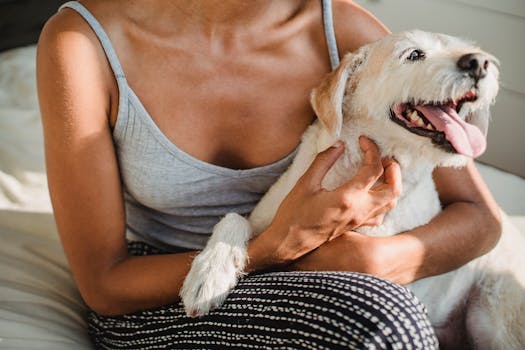 dog and owner enjoying time together