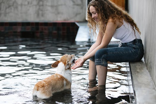 pet owner bathing their dog