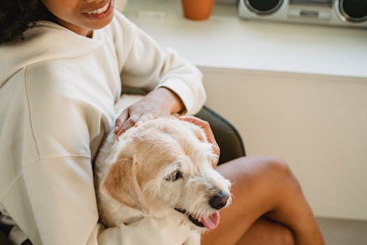 happy dog with owner