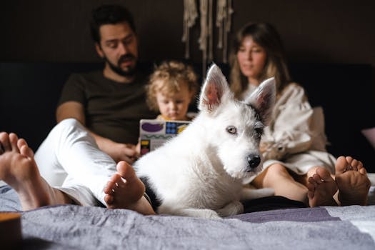 happy family playing with their pet