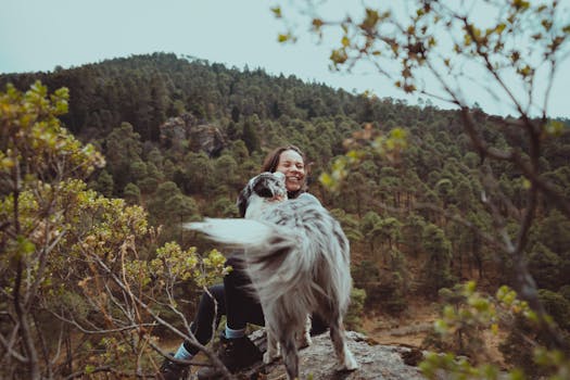 dog and owner enjoying a walk