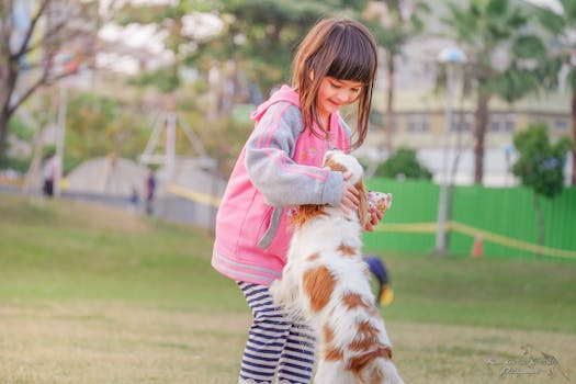 happy dog playing in park