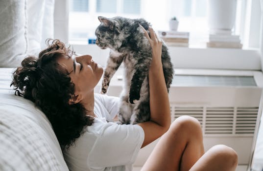 cat playing with owner