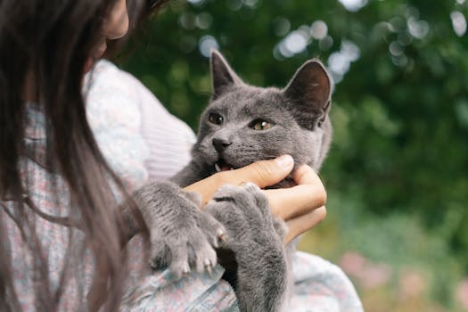 happy family with pets