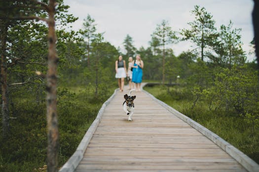 a person walking a dog in the park