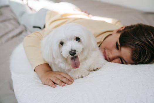 a child hugging a therapy dog