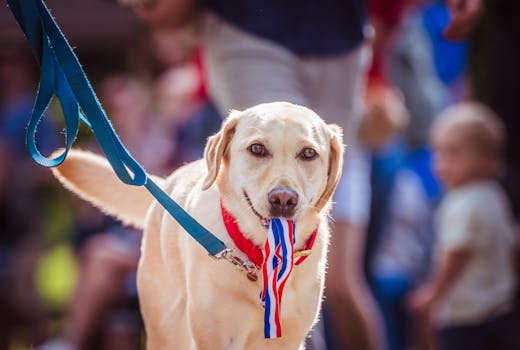 community pet parade