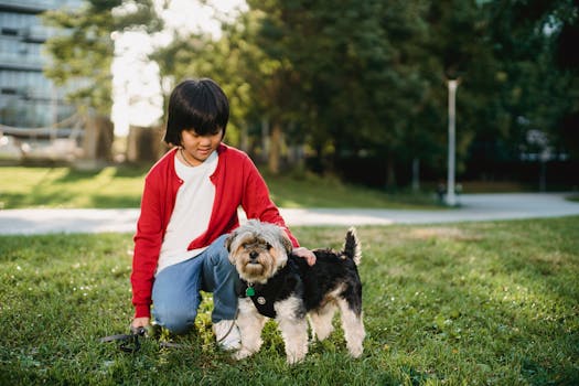 happy dog playing with a child in the park