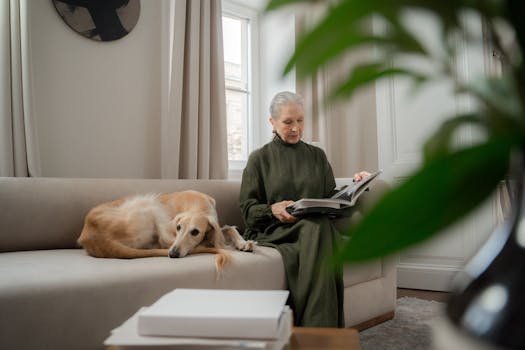 senior dog relaxing at home