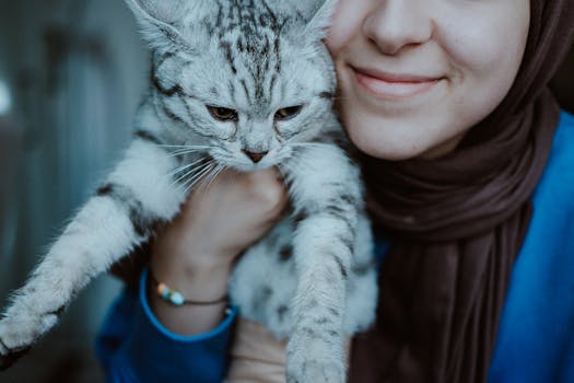 content cat relaxing with a person