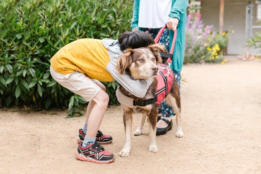 child caring for a dog