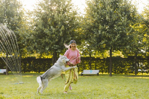 happy dog playing in the park