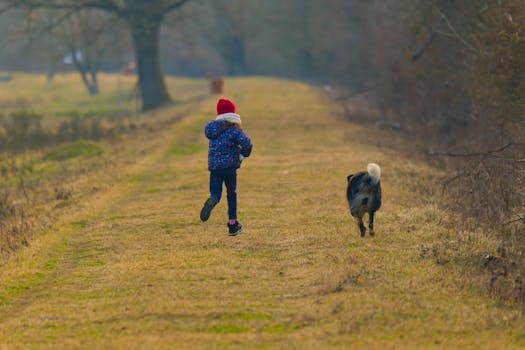 happy dog running in a field