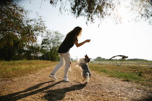 happy dog playing with owner