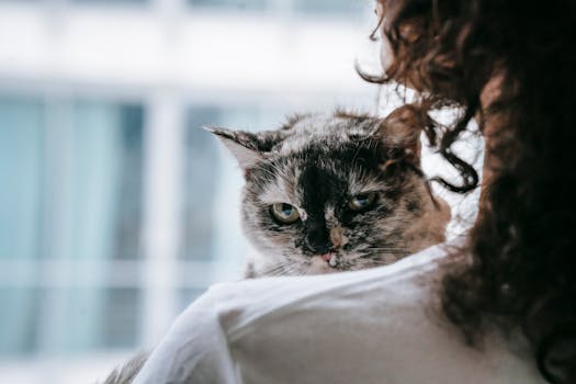 cat snuggling with owner