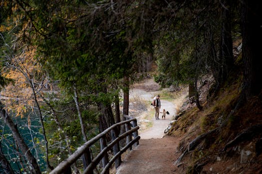 peaceful hiking trail with dog