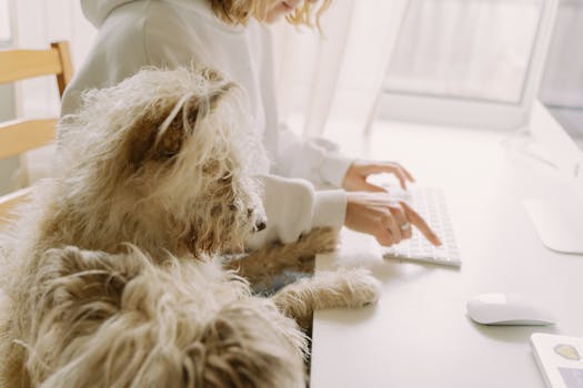 cozy pet-friendly office space