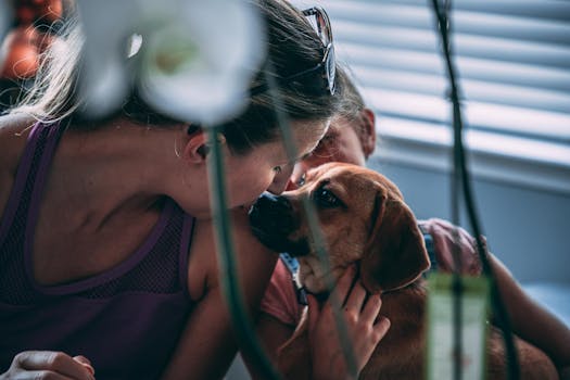 person caring for a therapy dog