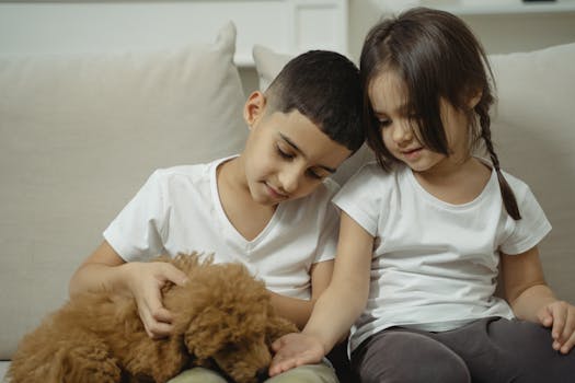 happy child playing with a puppy