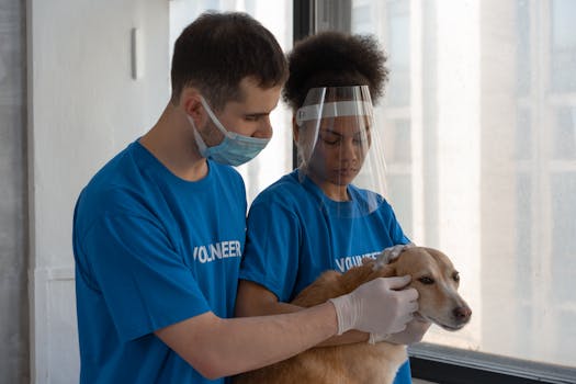 senior volunteering at an animal shelter