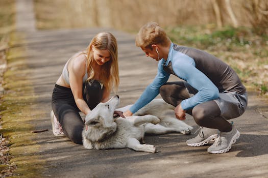 dog and owner enjoying a walk