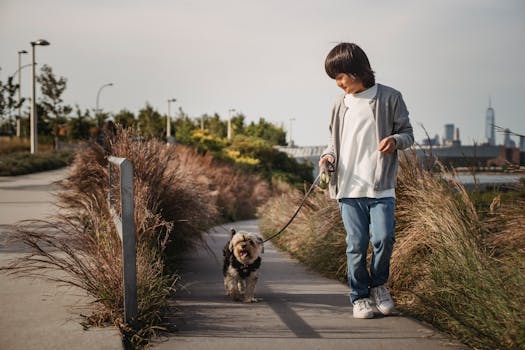 child with a pet at a park