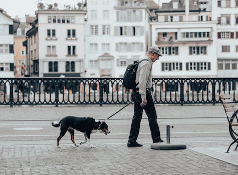 senior walking dog