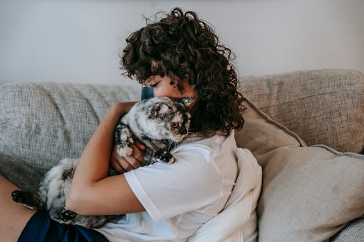 cat cuddling with owner