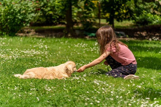 happy child with dog