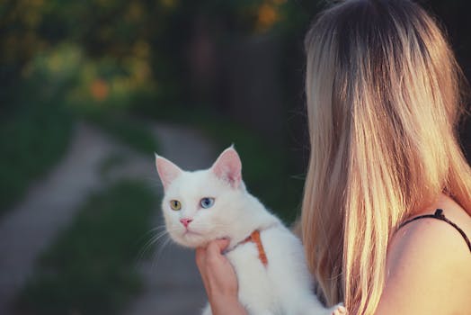 person holding a cat