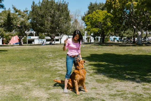 a happy dog playing in the park