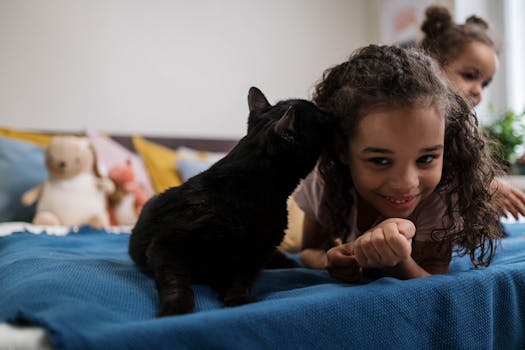 happy cat playing with a toy