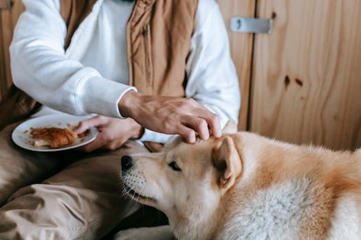 happy dog interacting with owner