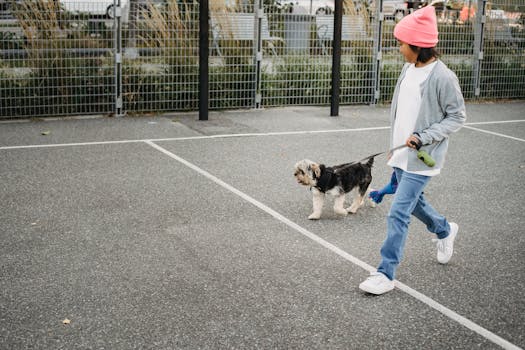 happy dog and owner on a walk