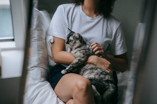 cat kneading its owner’s lap