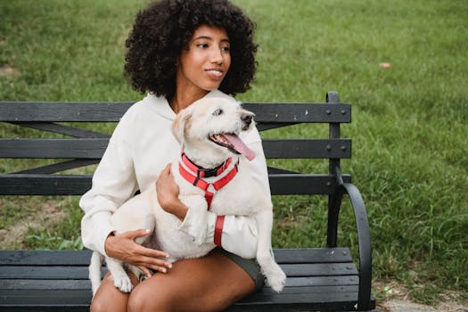 dog and owner playing in the park